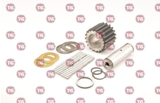 کیت دنده و پیم و ساچمه توپی طلا 273934 TAS